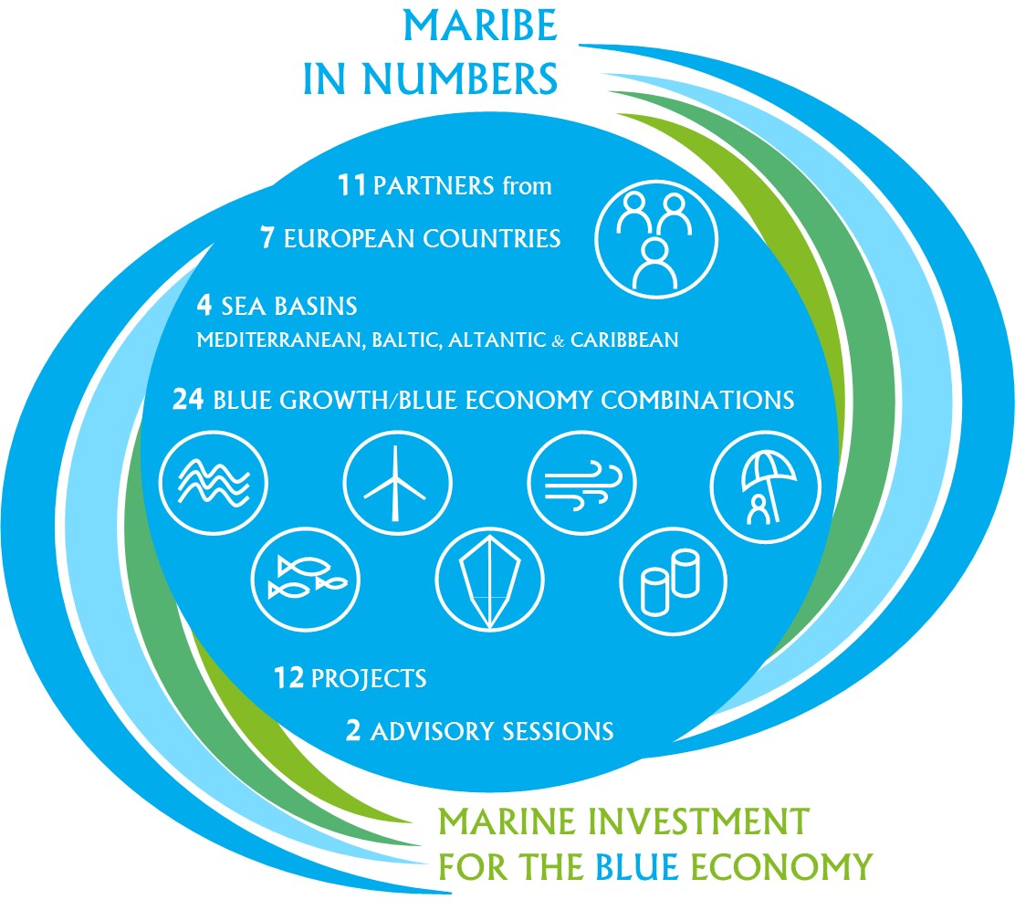 maribe-in-numbers