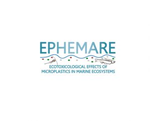 website-logo-final