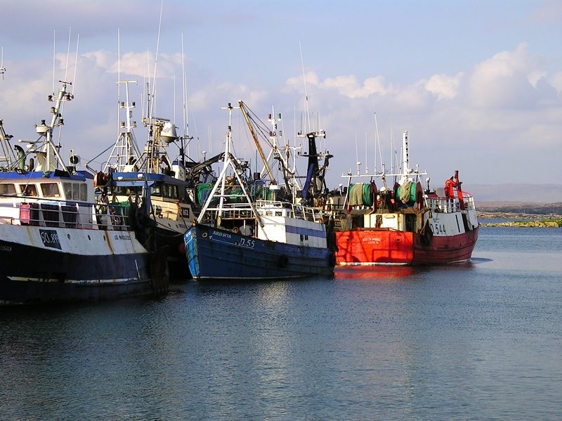 PI_SAFI_FishingboatsRosaveel_001