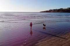 DJI_026210