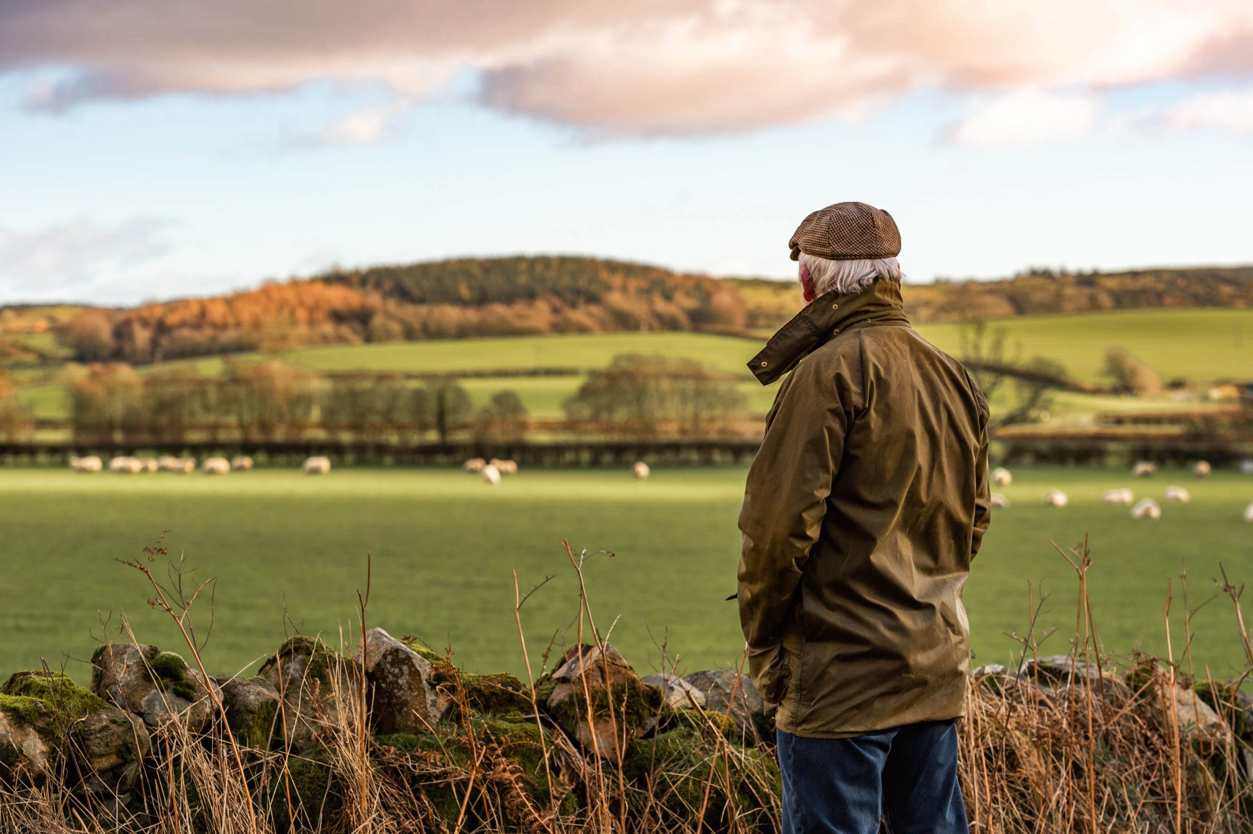 Farmer, Farm, Ireland, Field